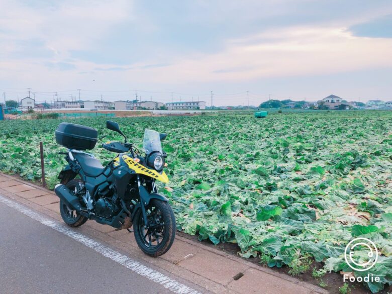 バイクの ハザード 機能 色々な使い方と道交法での正しい使い方とは モトコラム